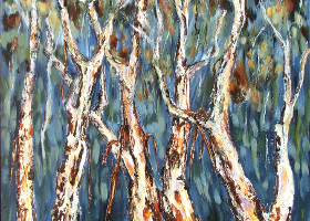 Scribbly Gums