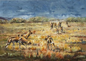 Luangwa wild dogs